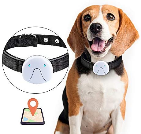 GPS Dog Tracker Collar with Voice Command