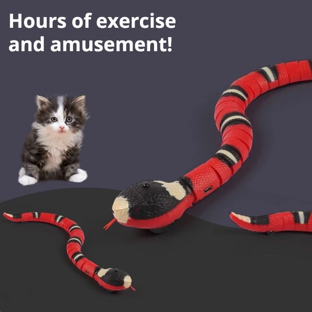 Motion Sensor Snake Toy for Cats & Dogs