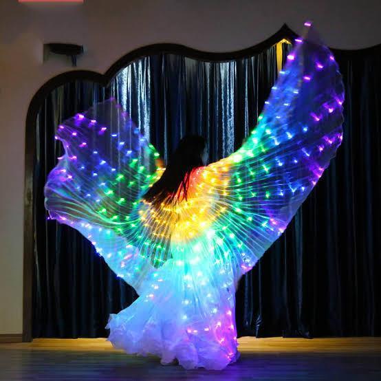 Butterfly Fairy LED Wings