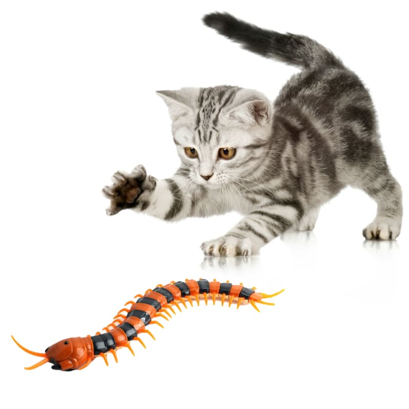 Interactive Remote Control Centipede Cat Toy