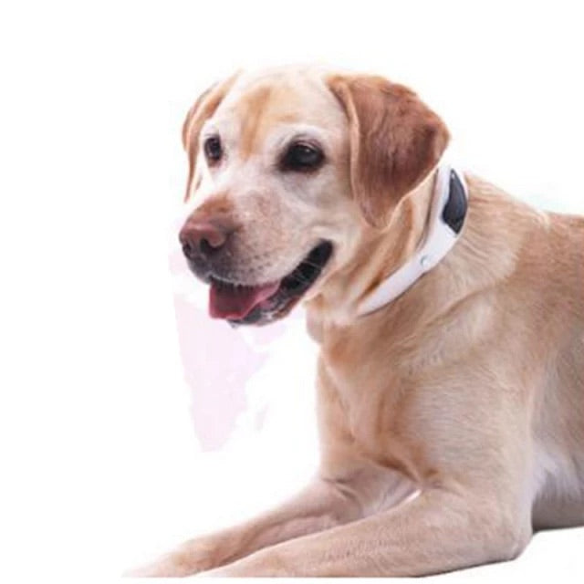 Cat and Dog Waterproof GPS Collar Tracker