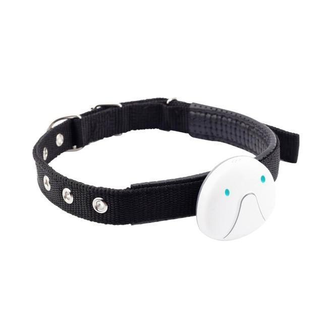 Smart GPS Cat & Dog Collar 2022 – GPS Tracker incl 1 Year Sim Card